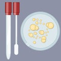 Swab test and Candida albicans colture on petri Royalty Free Stock Photo