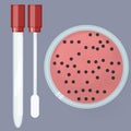 Swab test and Salmonella colture on petri Royalty Free Stock Photo