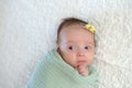 Alert Baby Girl Swaddled in a Light Green Wrap