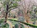 Swain Gardens in Killara @ Sydney Australia Royalty Free Stock Photo