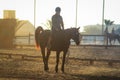 a girl involved in equestrian sports sits on horseback at sunset Royalty Free Stock Photo