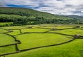 Swaledale Barns and stone walls Royalty Free Stock Photo