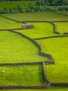 Swaledale Barns and stone walls Royalty Free Stock Photo