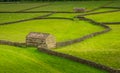 Swaledale Barns and stone walls Royalty Free Stock Photo