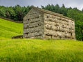 Swaledale Barns and stone walls Royalty Free Stock Photo