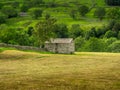Swaledale Barns and stone walls Royalty Free Stock Photo