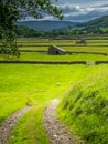 Old Stone Barns in Swaledale Royalty Free Stock Photo