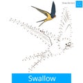 Swallow bird learn to draw vector