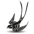Swallow bird logo design and vector flying bird Royalty Free Stock Photo
