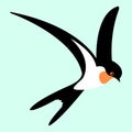Swallow bird vector illustration style Flat Royalty Free Stock Photo