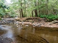 Swallow Falls State Park in the fall in the mountains of Maryland with the creek and waterfalls flowing, cascading in nature Royalty Free Stock Photo