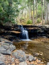 Swallow Falls State Park in the fall in the mountains of Maryland with the creek and waterfalls flowing, cascading in nature Royalty Free Stock Photo