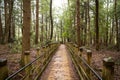 Swallow falls state park MD