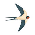 Swallow in flight vector illustration style Flat Royalty Free Stock Photo