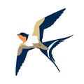 Swallow in flight vector style Flat