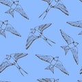 Swallow and House Martin birds vector pattern Royalty Free Stock Photo