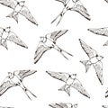 Swallow and House Martin birds vector pattern Royalty Free Stock Photo