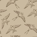 Swallow and House Martin birds vector pattern Royalty Free Stock Photo