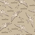 Swallow and House Martin birds vector pattern Royalty Free Stock Photo