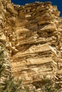 Swallow Nests Built Under The Rock Shelves Near Hot Spring In Big Bend