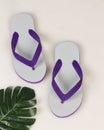 Swallow sandals white mixed with purple on a bright background. Royalty Free Stock Photo