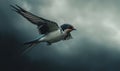 A swallow in sharp focus against a deep stormy sky, moody lighting Royalty Free Stock Photo