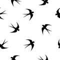 Swallow, swift, birds. Graphic vector pattern. Decorative seamless background