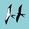 Swallow - tailed kite vector illustration flat style profile silhouette