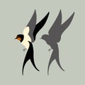 Swallow vector illustration style Flat Royalty Free Stock Photo