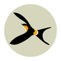 Swallow vector illustration style Flat