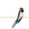 Swallow vector