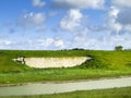 Swallow wall at Texel Royalty Free Stock Photo