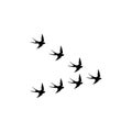 Swallows birds icon isolated on white background Royalty Free Stock Photo