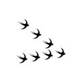 Swallows birds icon isolated on white background Royalty Free Stock Photo