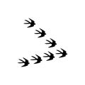 Swallows birds icon isolated on white background Royalty Free Stock Photo