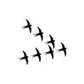 Swallows birds icon isolated on white background Royalty Free Stock Photo