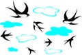 Swallows and clouds