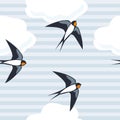 Swallows flying