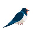 Swallows, martins, and saw-wings, or Hirundinidae, are a family of passerine birds. Bird Cartoon flat style beautiful Royalty Free Stock Photo