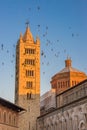 Swallows in Massa Marittima Royalty Free Stock Photo