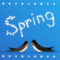 Swallows perched on a wire with sign spring Royalty Free Stock Photo