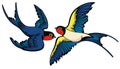 Swallows on white background. Flying swallows in cartoon style