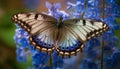 Swallowtail butterfly on vibrant green leaf decoration generated by AI Royalty Free Stock Photo