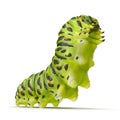 Swallowtail caterpillar or Papilio Machaon on a white. 3D illustration