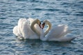 Swam on the sea in the form of a heart Royalty Free Stock Photo