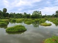 Swamp background, Beautiful Swampy Lake and Cloudy Sky