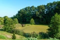 A swamp and a beautiful forest illuminated by sunlight. Natural landscape. A pond overgrown with quagmire Royalty Free Stock Photo