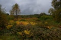 Swamp in beglium called Hautes Fagnes