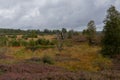 Swamp in beglium called Hautes Fagnes