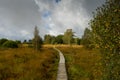 Swamp in beglium called Hautes Fagnes